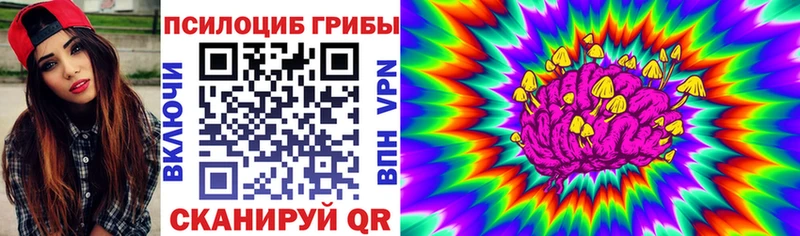 Псилоцибиновые грибы ЛСД  Северская 